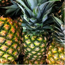 Ананас Тропіканка "Кайєна" 15-25 см