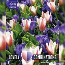 Комбо Тюльпаны Striped и Крокусы Blue (Брендовые луковицы KAPITEYN®) Комбо Тюльпаны Striped и Крокусы Blue (Брендовые луковицы KAPITEYN®)