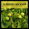 Грецкий орех Клишковский (Однолетний, ОКС)