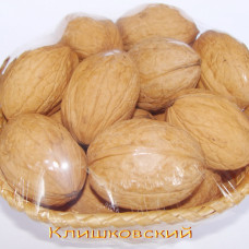 Грецкий орех Клишковский (Однолетний, ОКС)