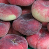 Персик Инжирный Никитский (Двухлетний, ОКС)