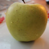 Яблоня Кальвиль снежный (Однолетний, ОКС)